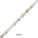 12V LEDS LEDS LIGNES 